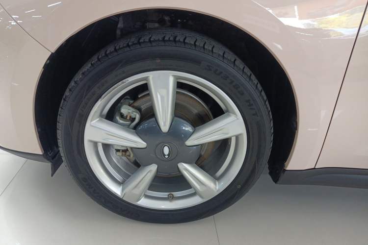 Used ORA Good Cat 2023 401 km Standard Range Luxury Version Lithium Iron Phosphate
