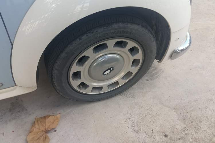 Used ORA Ballet Cat 2022 401 km Nutcracker Edition
