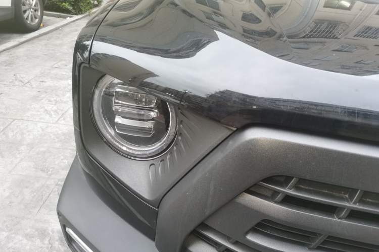 Used Haval DARGO 2024 2.0T DCT Chinese Rural Dog Edition
