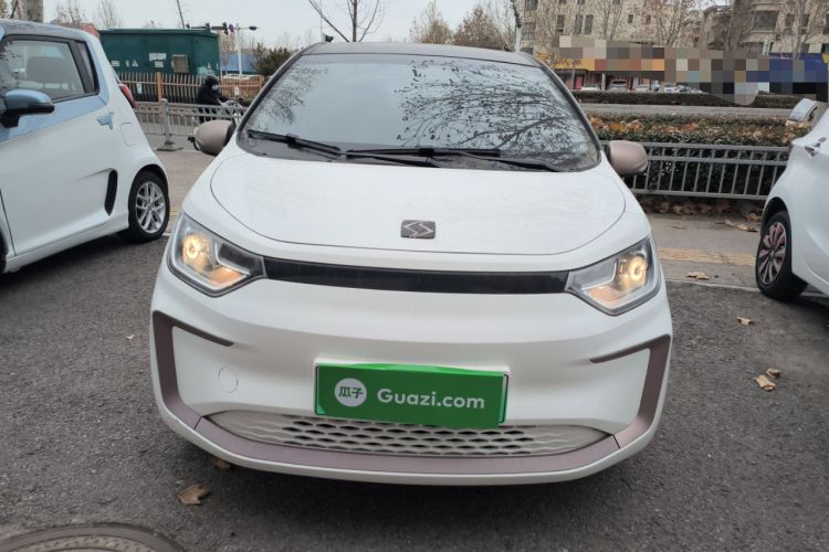 Used SOL E10X 2022 Flower Fairy Style Baby's Breath
