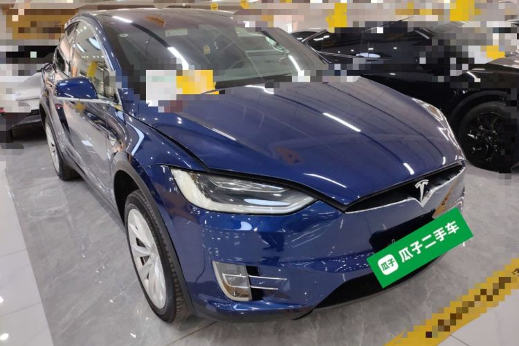 Used Tesla Model X 2017 X 100D Long Range Edition
