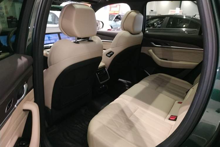 Used Geely Auto Monjaro L 2025 Dongfang Yao 2.0TD Automatic All-Wheel-Drive Wangyue Edition
