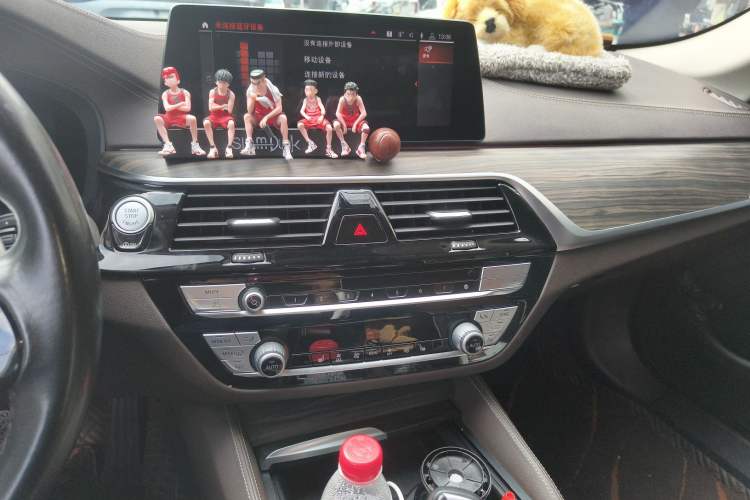 Used BMW 5 Series 2020 530Li xDrive Luxury Package
