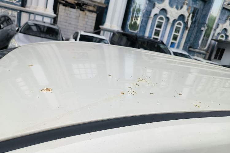 Used BAIC Weiwang M50F 2017 1.5L Standard Model