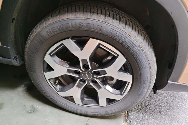 Used Radar Horizon 2024 460 km All-Wheel-Drive Max Version
