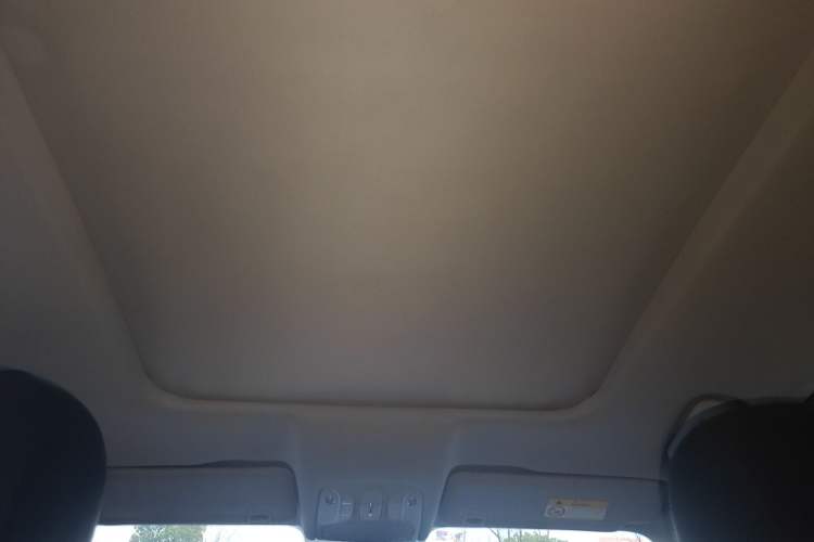 Used GAC Trumpchi GS8 2019 390T Two-Wheel Drive Luxury Smart Connectivity Version (7 Seats) Headliner