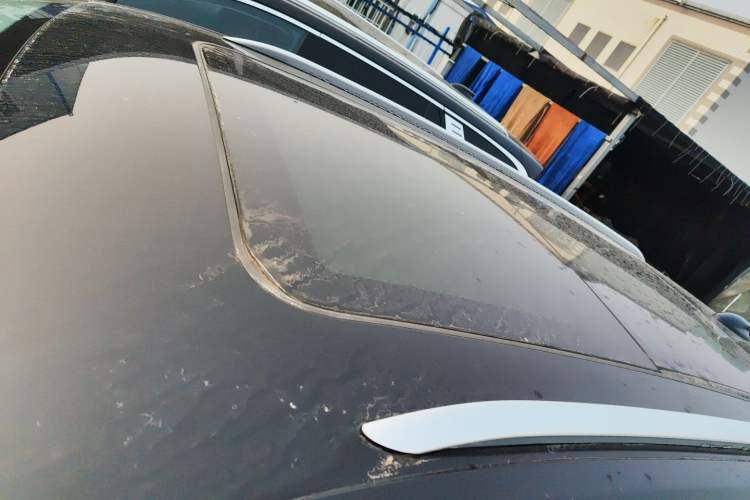 Used Hongqi E-HS9 2022 690 km Range Flagship Edition Six Seats