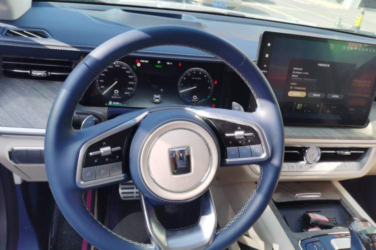 Used Tank 500 New Energy 2024 Hi4-T
