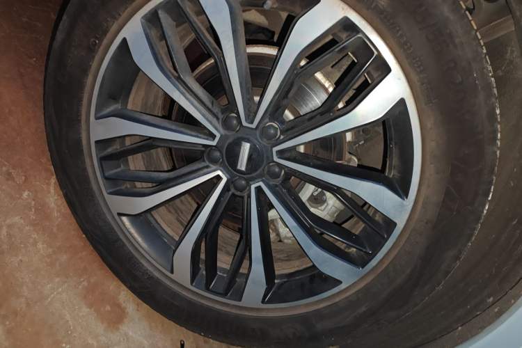 Used Wey Mocha 2021 2.0T Two-Wheel-Drive Premium Edition