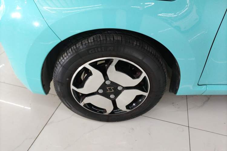 Used SOL E10X 2022 Flower Fairy Style Baby's Breath
