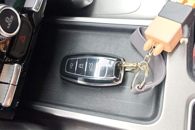 Used Haval DARGO 2022 1.5T DCT Two-Wheel Drive Labrador Edition
