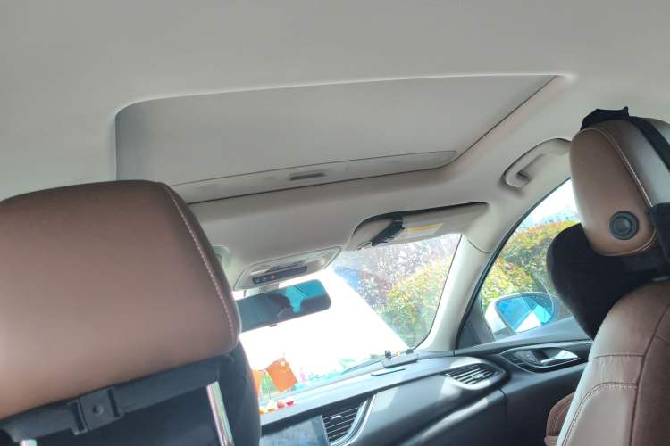 Used Buick Regal 2017 20T Elite Edition Headliner