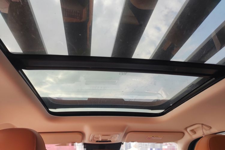 Used Haval Raptor New Energy 2024 Hi4 145 Pro Headliner