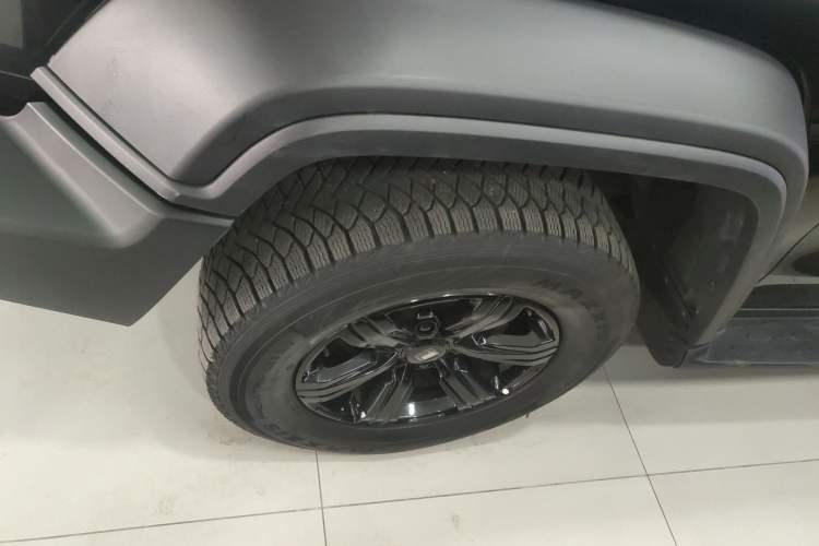 Used Tank 300 2024 2.0T Conqueror
