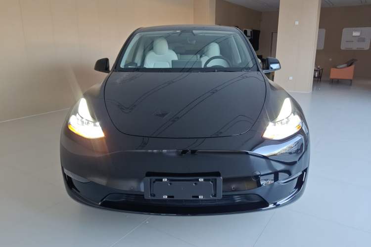 Used Tesla Model Y 2021 Long-Range All-Wheel-Drive Version 3D7