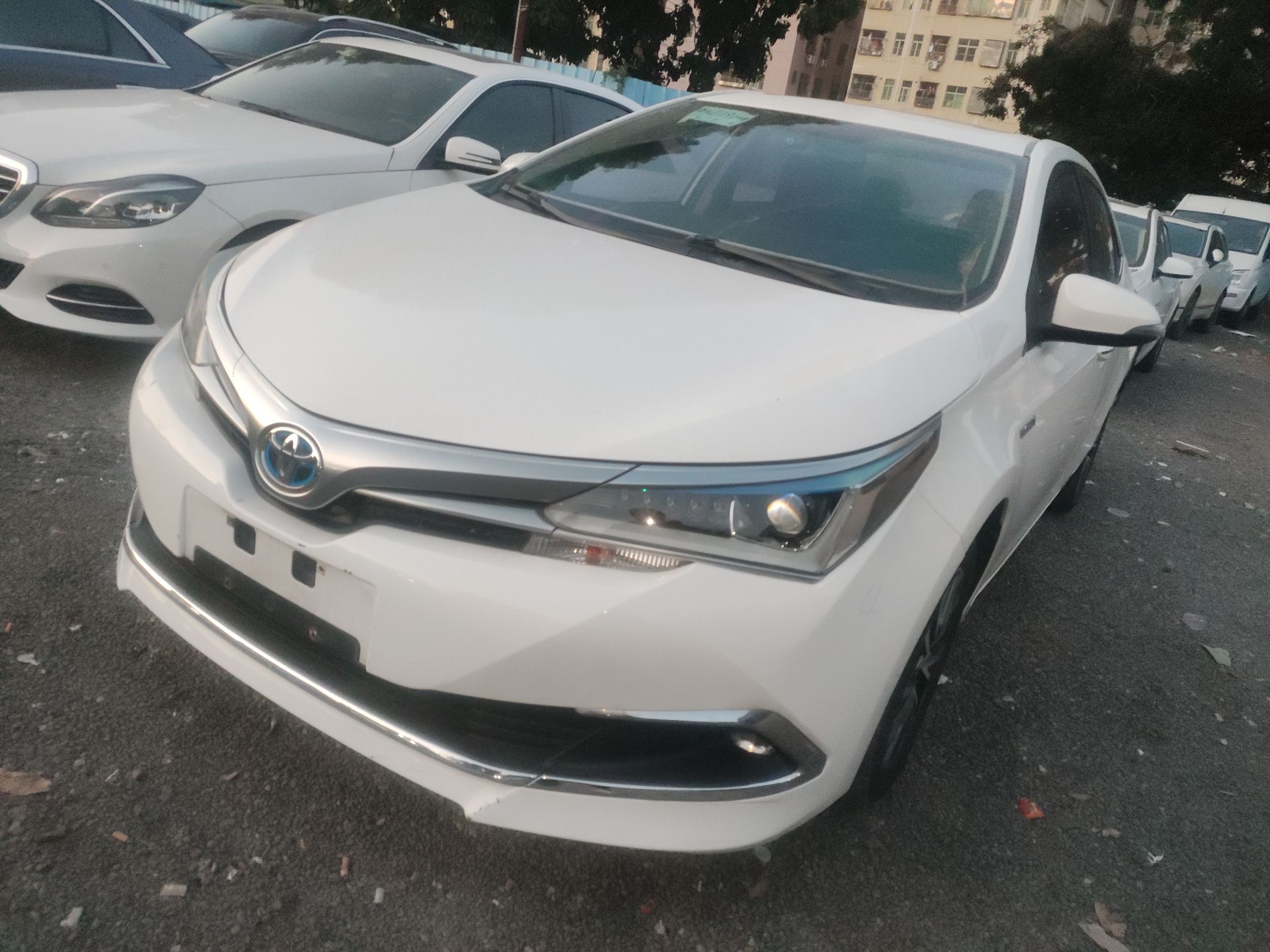 Parte inferior delantera