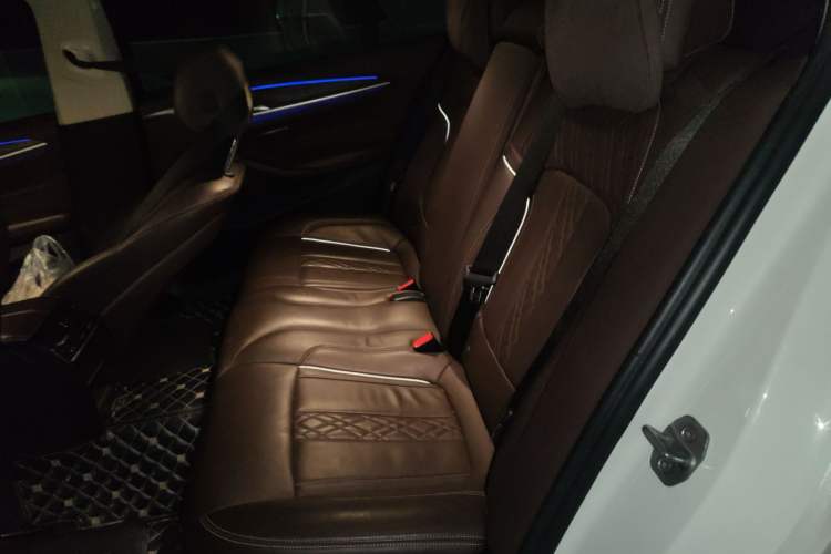 Used BMW 5 Series New Energy 2020 Mileage Upgrade Version 530Le Luxury Package
