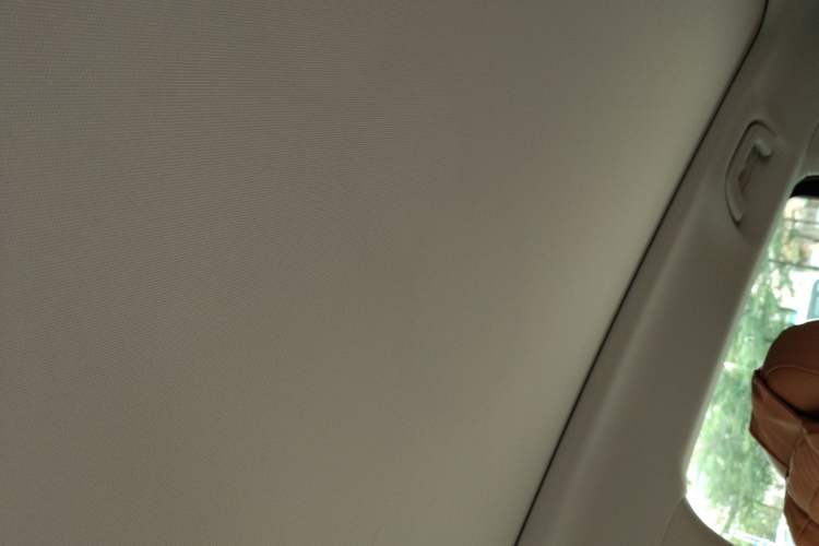 Used Leapmotor C10 2024 530 Smart Edition Headliner