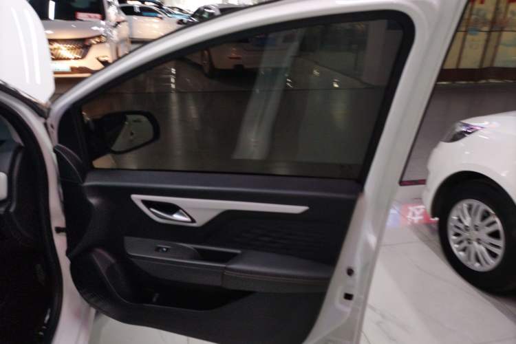 Used SOL E10X 2022 Flower Fairy Design Dandelion