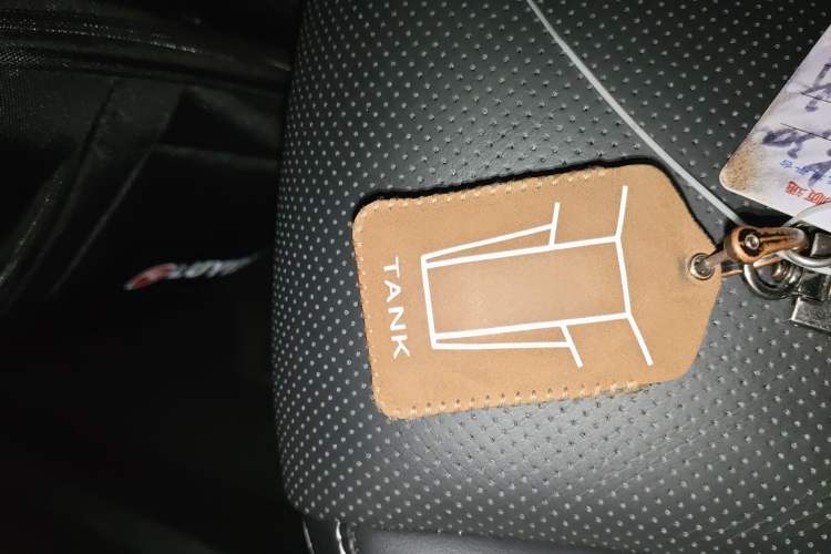 Used Tank 300 2021 Off-Road Edition 2.0T Conqueror