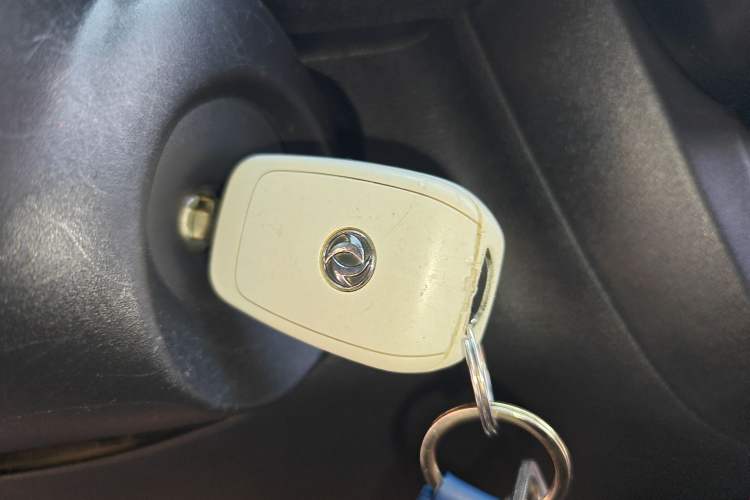 Used Dongfeng NAMMI EX1 2023 PRO Light Wind Edition Lightning Model
