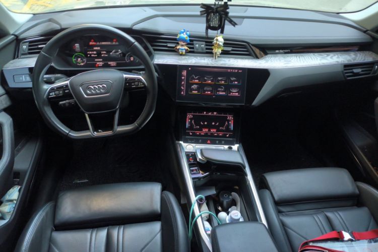 Used Audi e-tron 2019 55 quattro Technology Edition
