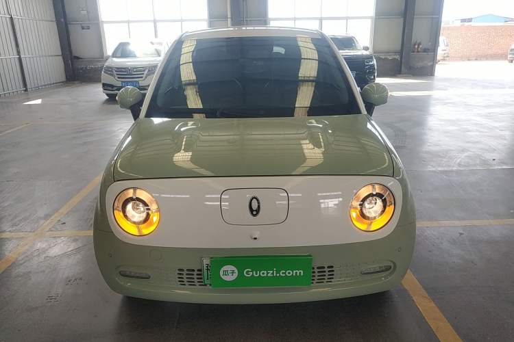 Used ORA Black Cat 2022 351 km Range Comfort Version Ternary Lithium