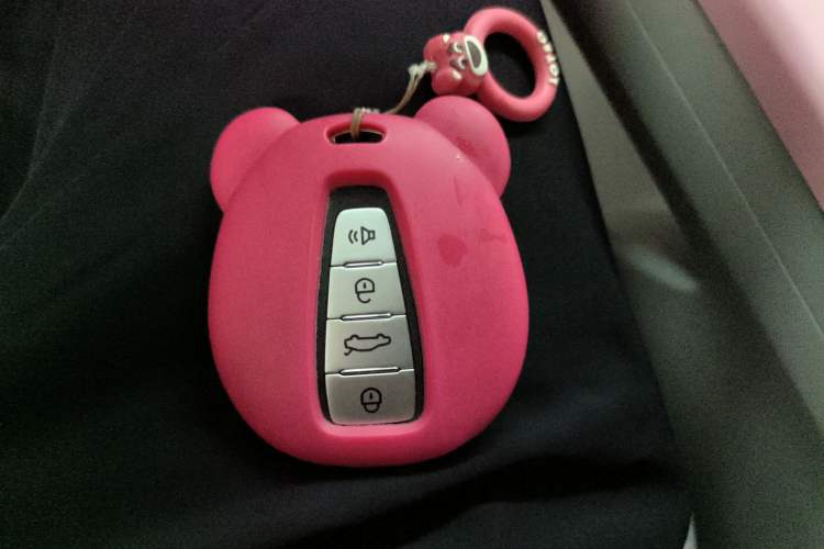 Used Geometry E Firefly 2023 401 km Super-Liked Special Edition 5 Seats
