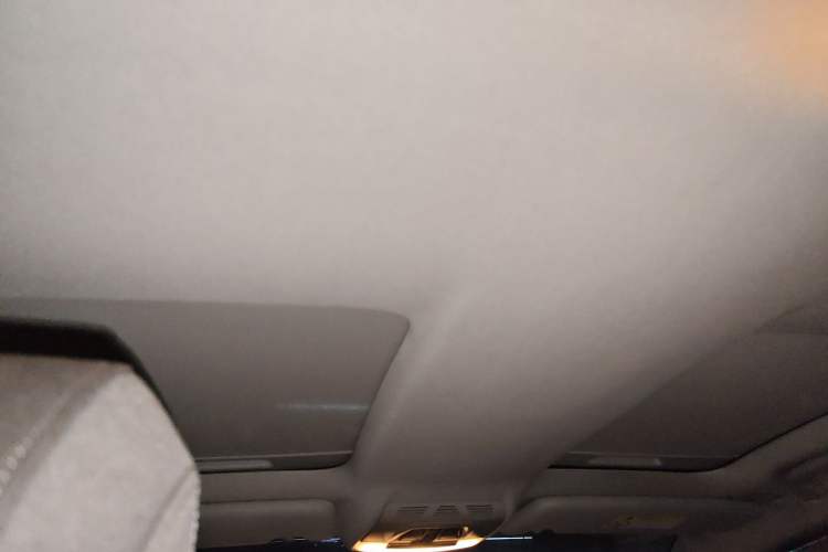 Used BMW i3 2019 Fast Charging Edition Headliner