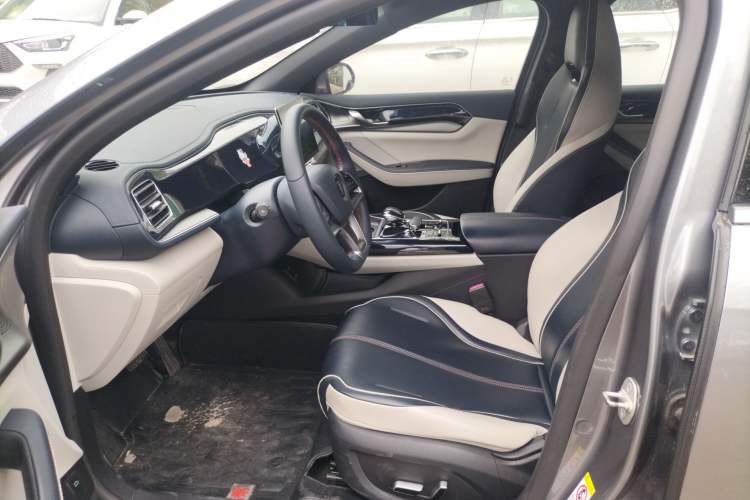 Used BYD Qin PLUS 2021 EV 400KM Luxury Model Left Front Seat