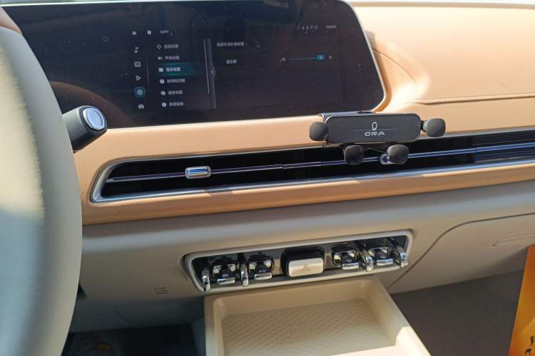 Used ORA Good Cat 2024 401 km Luxury Version
