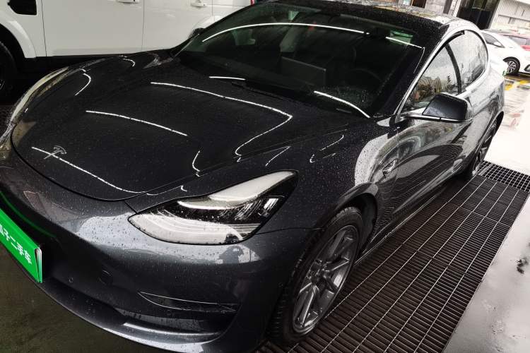 Used Tesla Model 3 (Import) 2019 Long-Range Rear-Wheel-Drive Version
