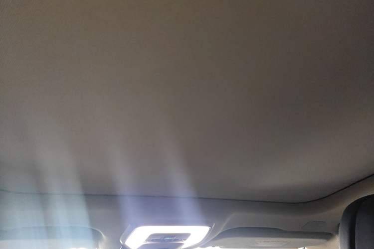 Used Hongqi H9 2023 2.0T Smart Connect Flagship Edition
