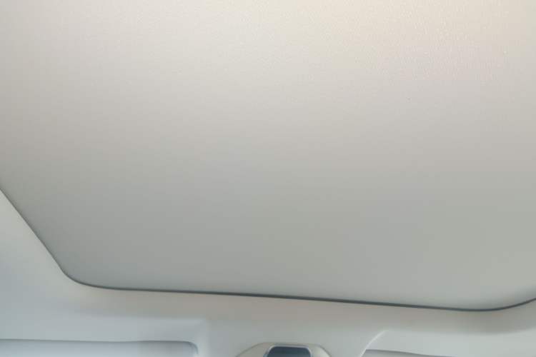 Used Livan 9 2023 470 km Leading Edition