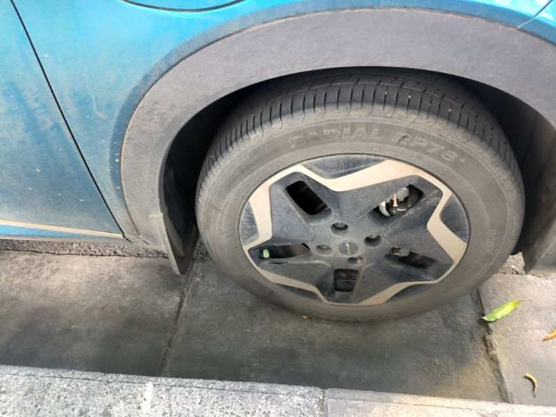Used BYD Dolphin 2021 405 km Fashion Edition — 9