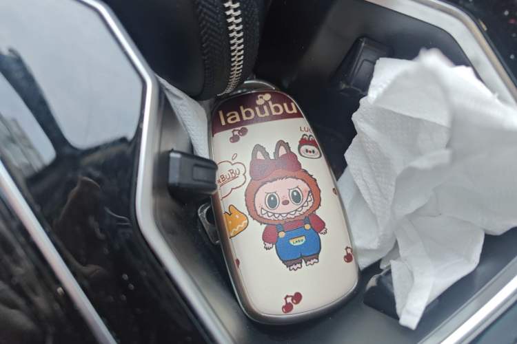 Used Chery Tiggo 8 L 2025 Model 2.0T Two-Wheel Drive Changhong Edition—5 Seaters