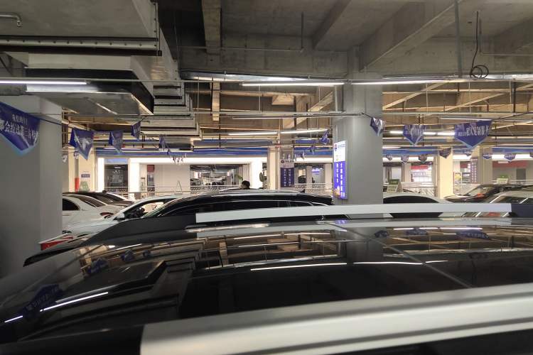 Used Haval DARGO 2021 2.0T DCT 4x4 Chinese Rural Dog Edition
