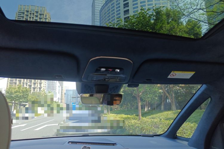 Used Zeekr 009 2022 WE Edition Headliner