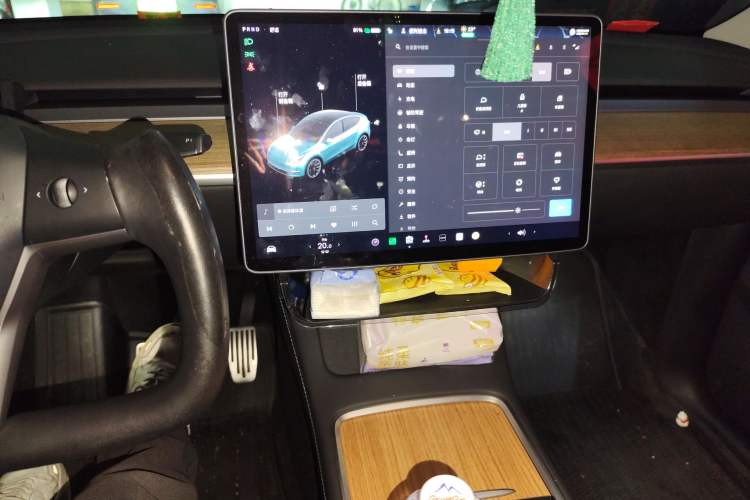 Used Tesla Model Y 2021 Standard Range Rear-Wheel Drive Version
