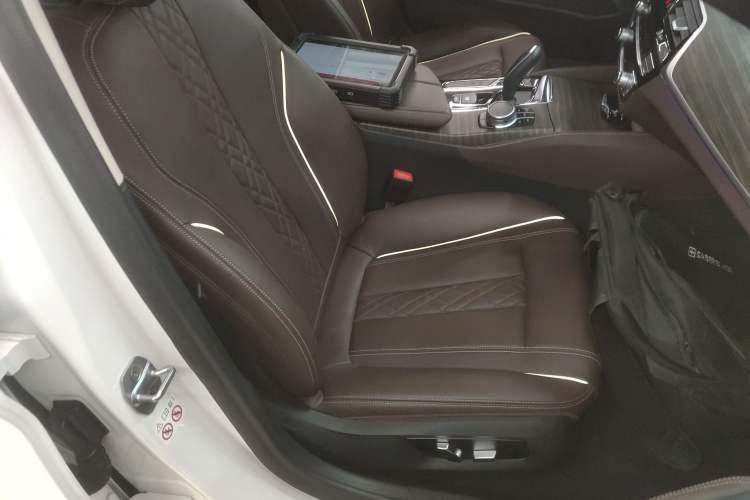 Used BMW 5 Series New Energy 2019 530Le Luxury Package