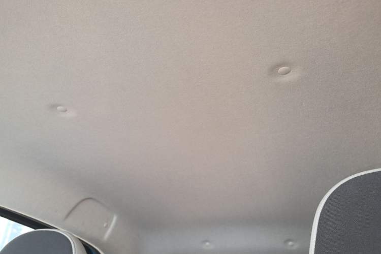 Used ORA Black Cat 2021 301km Cute Pet Edition
