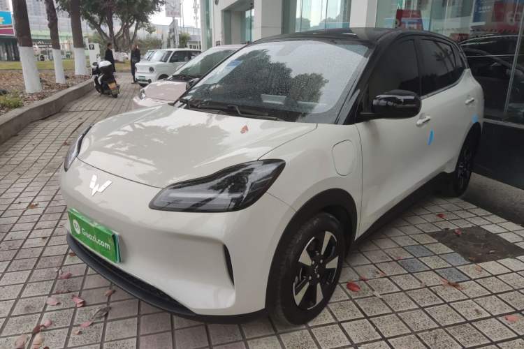 Used Wuling Bingo PLUS 2024 330 km Range Five-Seater Version