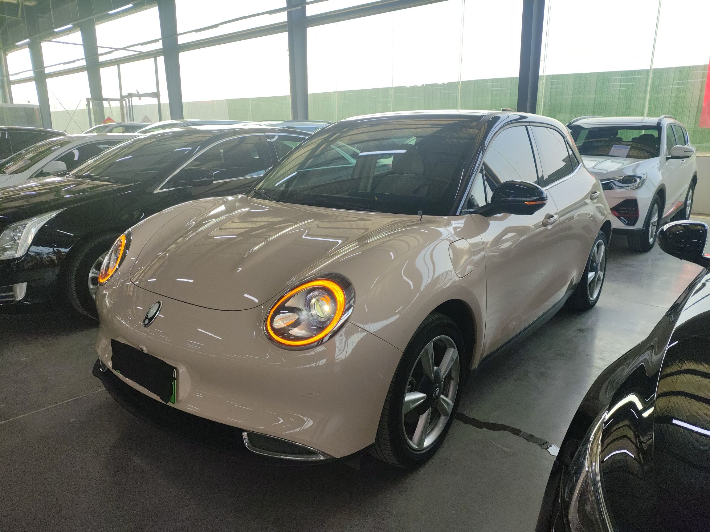 Parte inferior delantera