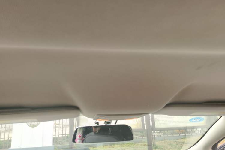 Used Ford Edge 2012 2.0T Elite Edition Headliner