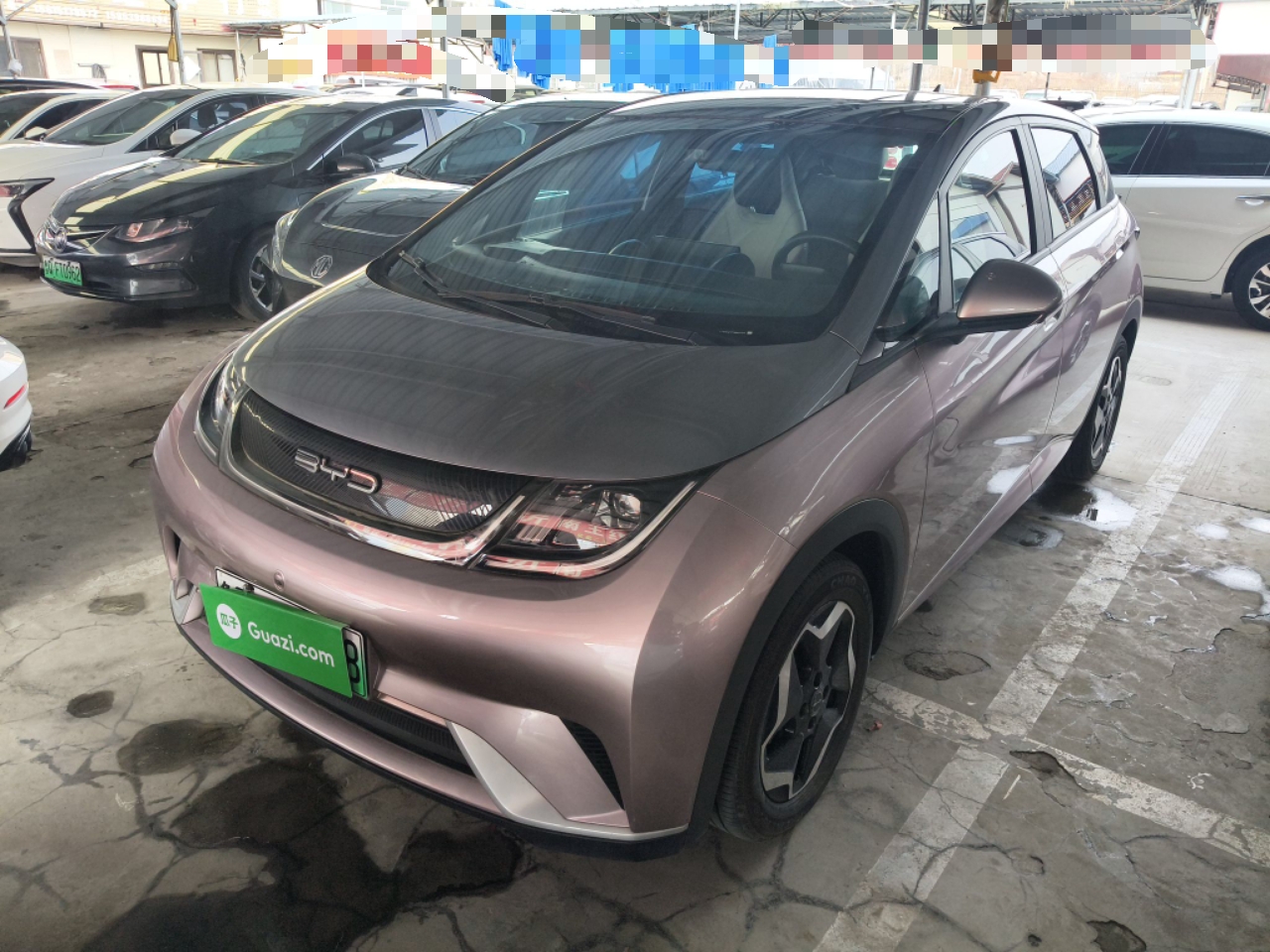 Parte inferior delantera