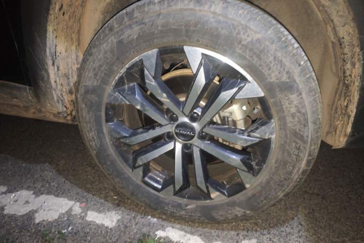 Used Haval DARGO 2024 1.5T DCT Labrador Edition