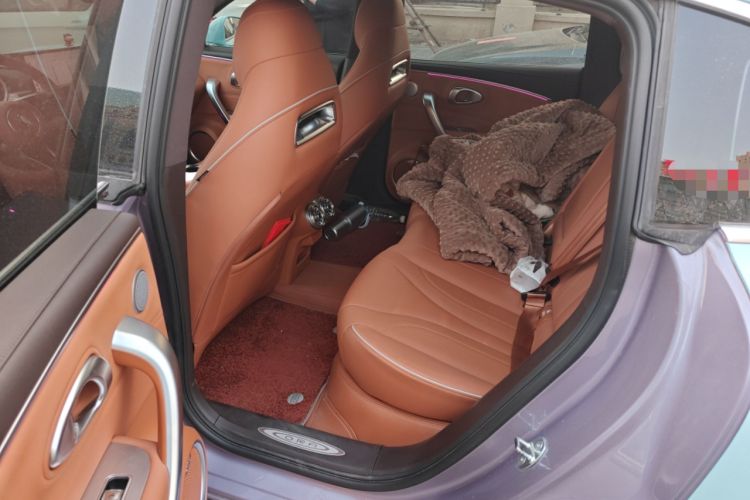 Used ORA Lightning Cat 2022 555 km Luxury Edition
