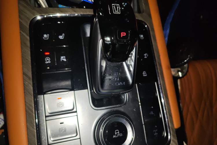 Used Tank 500 2022 3.0T Business Edition "Creation Realm" Design 5-Seater
