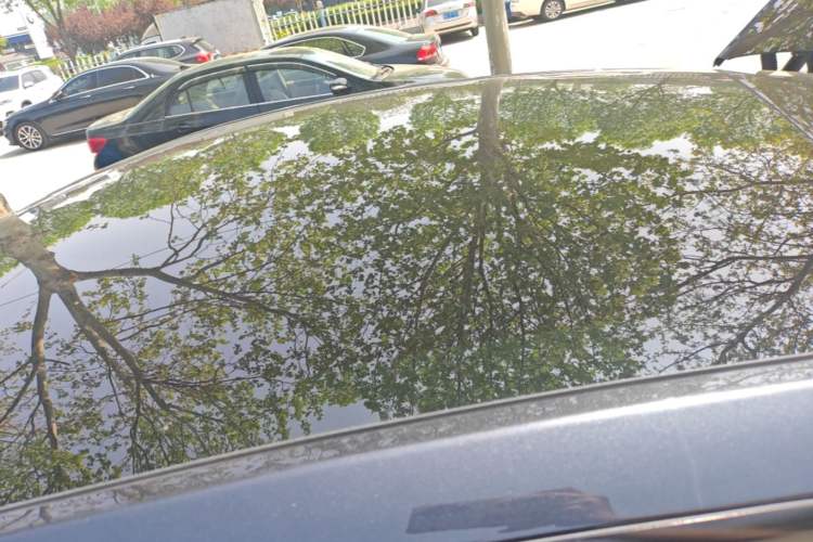 Used Tesla Model Y 2024 Rear-Wheel-Drive Version Roof