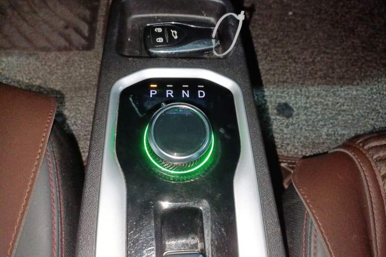 Used Dayun Yuehu 2021 32.85 kWh Two-Wheel-Drive Sprite Version
